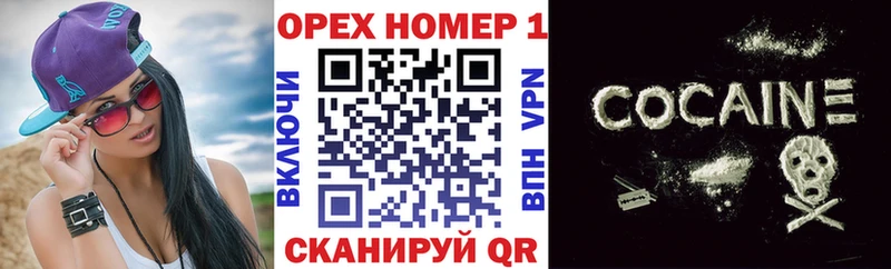 купить наркотик  Шагонар  Cocaine FishScale 