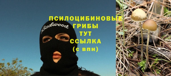 амф Баксан