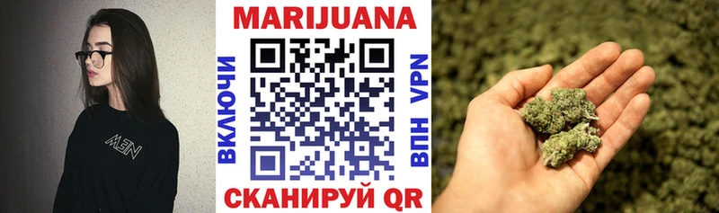 Каннабис Amnesia  Шагонар 